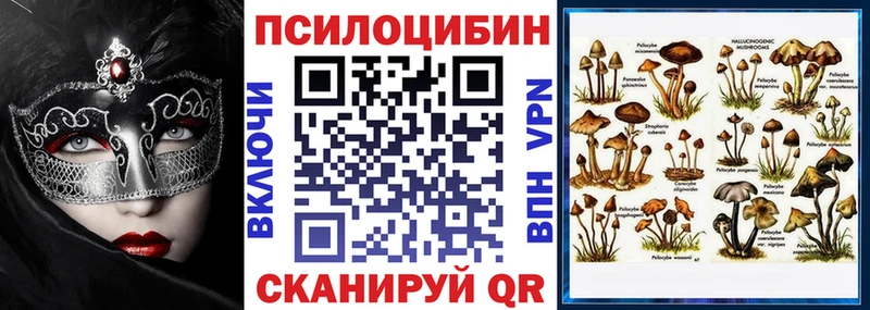 Галлюциногенные грибы GOLDEN TEACHER  МЕГА ТОР  Теберда  сколько стоит 